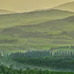 Biodiversità forestale, la lezione della natura: gestire meno per conservare di più