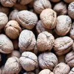 Proteine: cosa sono e perché rappresentano uno dei pilastri essenziali per il funzionamento dell’organismo