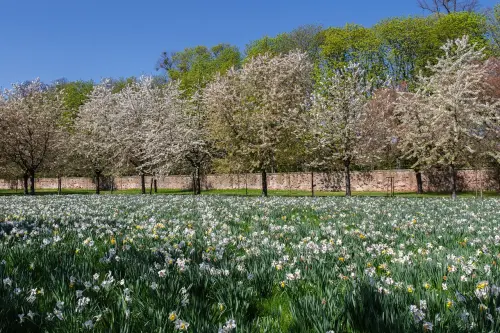 La Capitale si racconta tra natura e innovazione ambientale