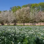 La Capitale si racconta tra natura e innovazione ambientale
