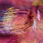 Blu art trasforma Roma: prima installazione a Piazza Conca d’Oro