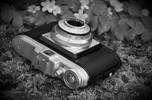 Mandrione, fotografia e parole: Pinna incontra Pasolini