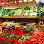 Roma Capitale ed Enpab avviano una collaborazione per promuovere salute e sostenibilità