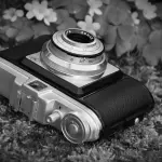 Mandrione, fotografia e parole: Pinna incontra Pasolini