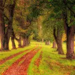 Borghetto San Carlo apre le porte al Parco di Veio