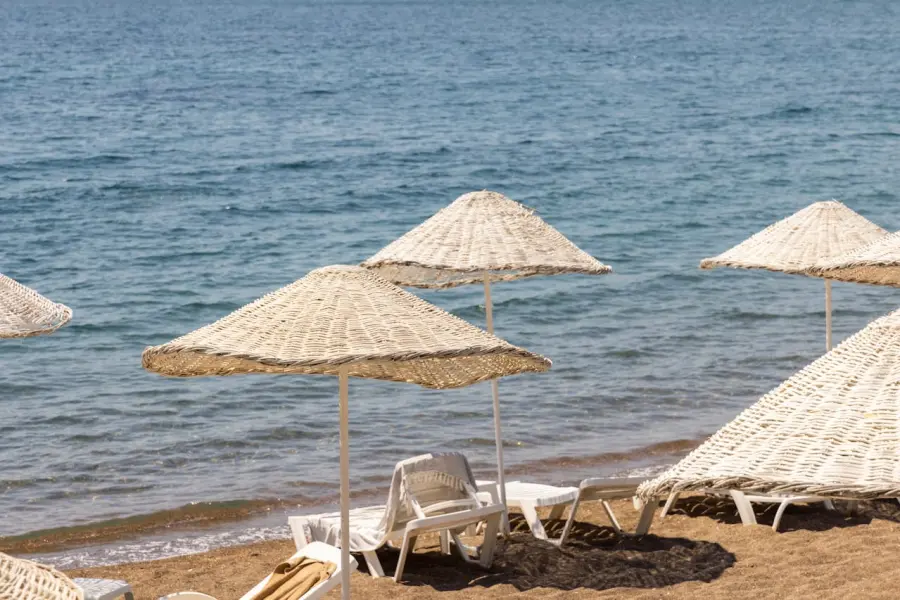 Ostia, stagione balneare 2026: Confcommercio Roma chiede un tavolo tecnico permanente con il Campidoglio