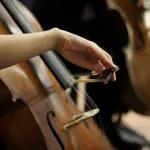 Vox Humana, il violoncello protagonista alla rassegna MusicaInFormazione di Roma Tre