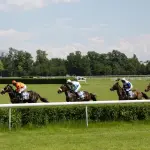 Capannelle, lavori sulle piste: intervento straordinario per rilanciare l’ippodromo