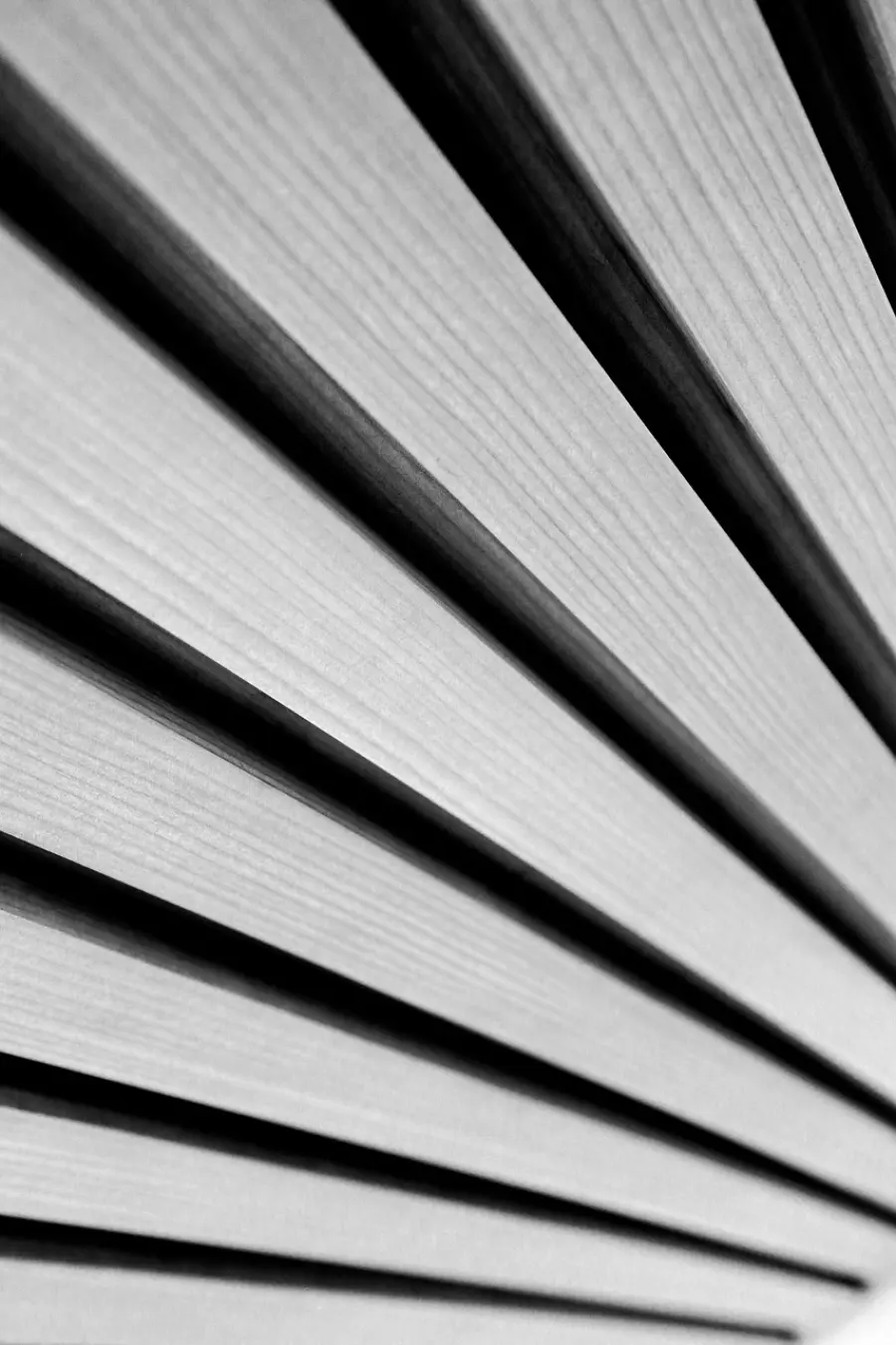 “Estetiche contemporanee” alla Galleria dei Miracoli: un dialogo aperto sull’arte del presente