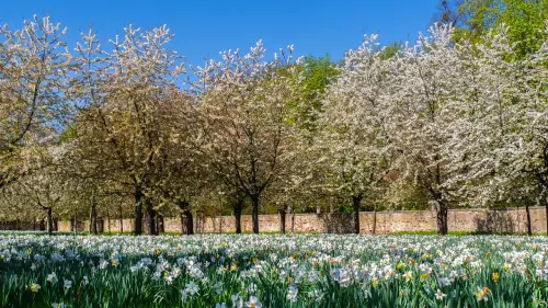 Collinetta Boccea: un parco rinato grazie alla sinergia tra istituzioni e cittadini