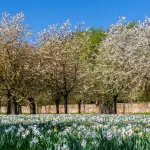 Collinetta Boccea: un parco rinato grazie alla sinergia tra istituzioni e cittadini