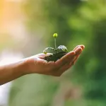 Roma, oltre 25 eventi per il Festival della sostenibilità