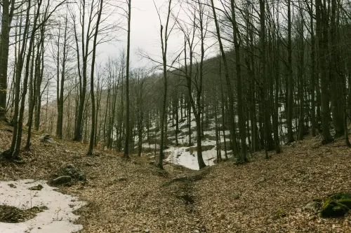 Roma, Natura in Cammino torna il 9 e 10 maggio nelle riserve