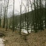 Roma, Natura in Cammino torna il 9 e 10 maggio nelle riserve