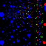 Roma Tre, conferenza sul vuoto quantistico con Vittorio Lubicz