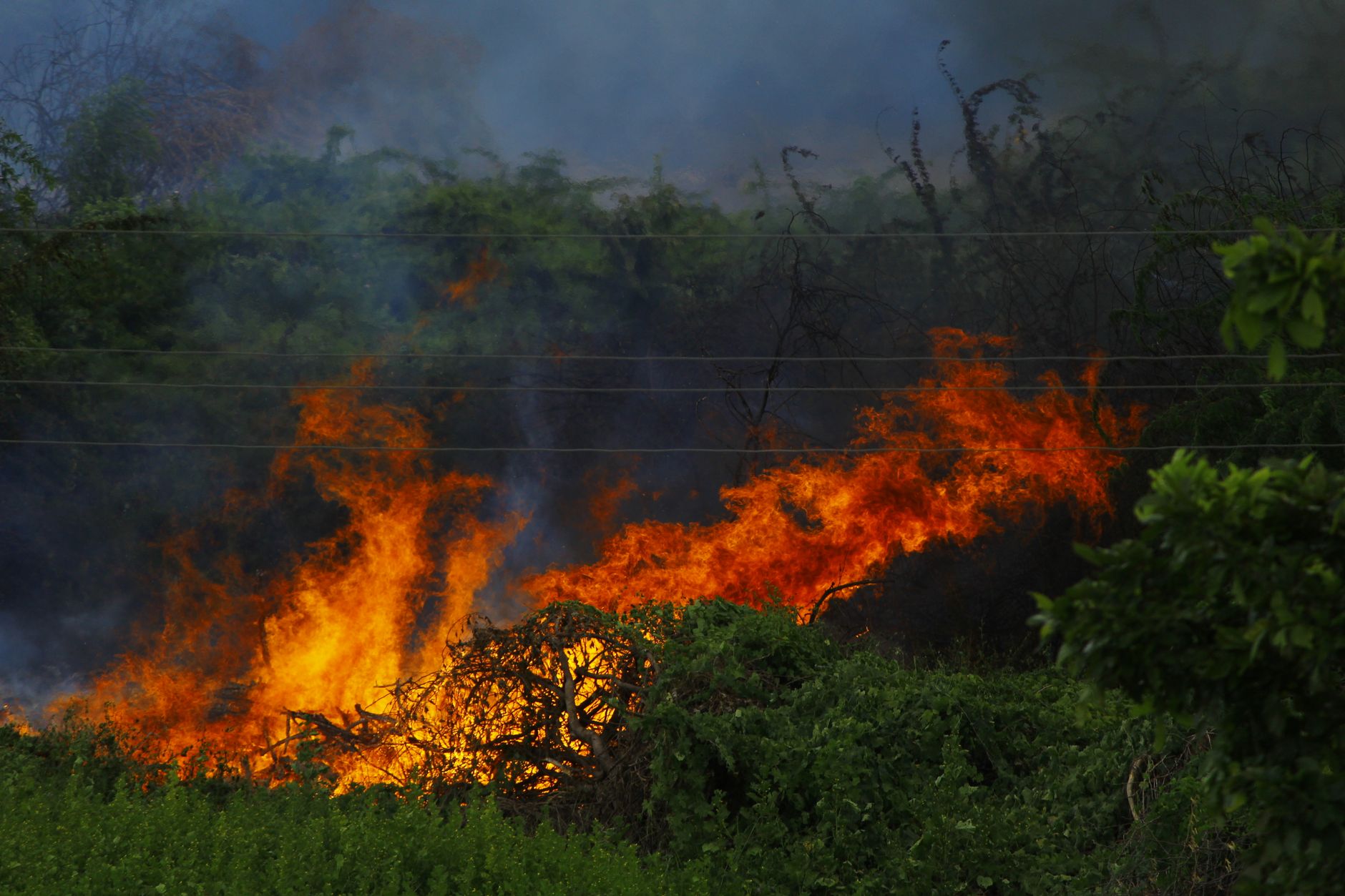 Incendi boschivi, ASL Roma 3: fumo pericoloso per la salute