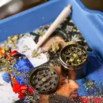 Roma, cinque fermati tra Quarticciolo e Centocelle: droga e rapina