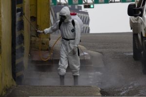 Come trovare un tecnico per le disinfestazioni a Roma?